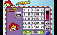 Slingo Bingo