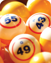 bingo gratis online